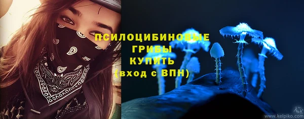 винт Мегион