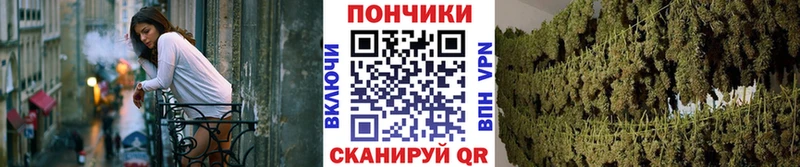 Шишки марихуана SATIVA & INDICA omg рабочий сайт Ликино-Дулёво закладка